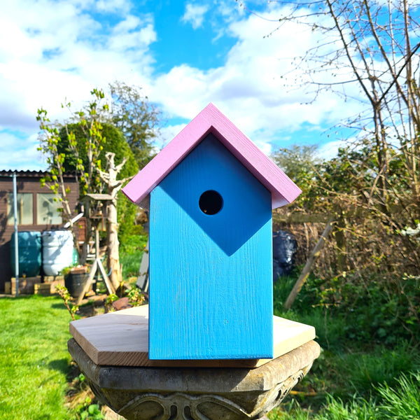 Handcrafted Simply Colour Bird Box