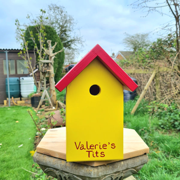 Handcrafted Simply Colour Bird Box