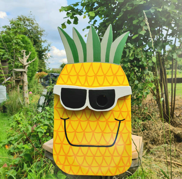 Handcrafted Pineapple Bird Box