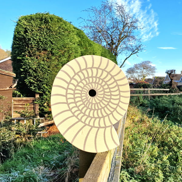 Handcrafted Ammonite Fossil Bird Box