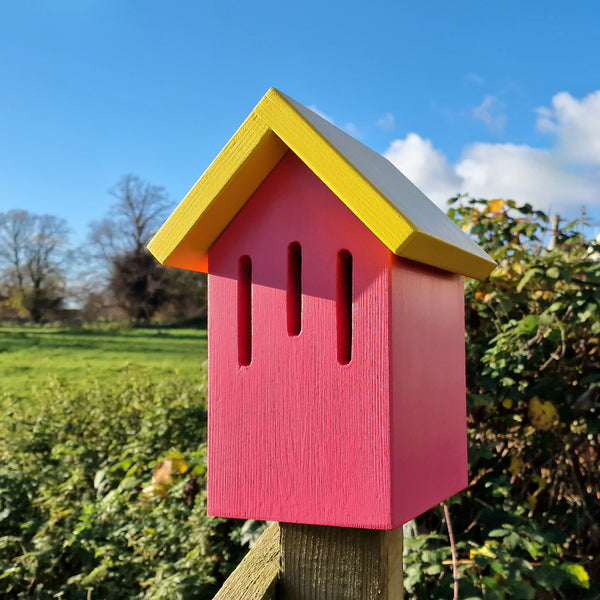Handcrafted Simply Colour Butterfly House