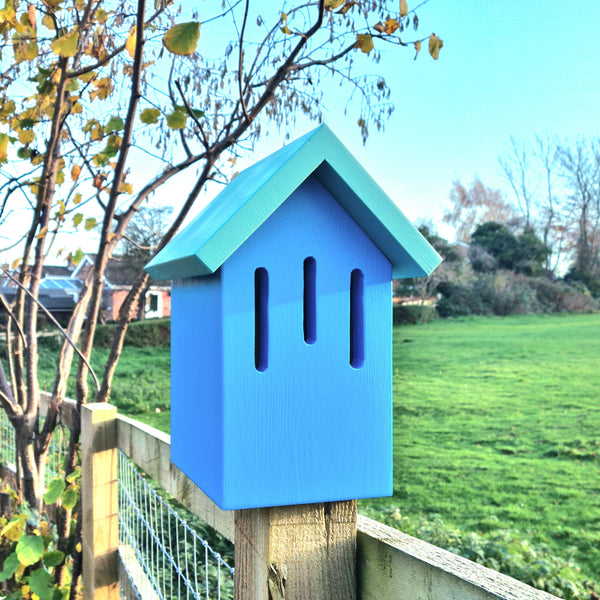 Handcrafted Simply Colour Butterfly House