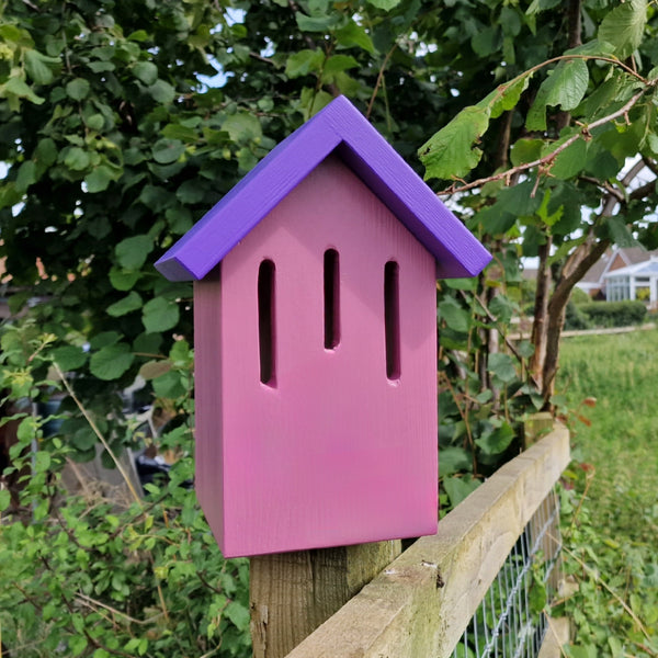 Handcrafted Simply Colour Butterfly House