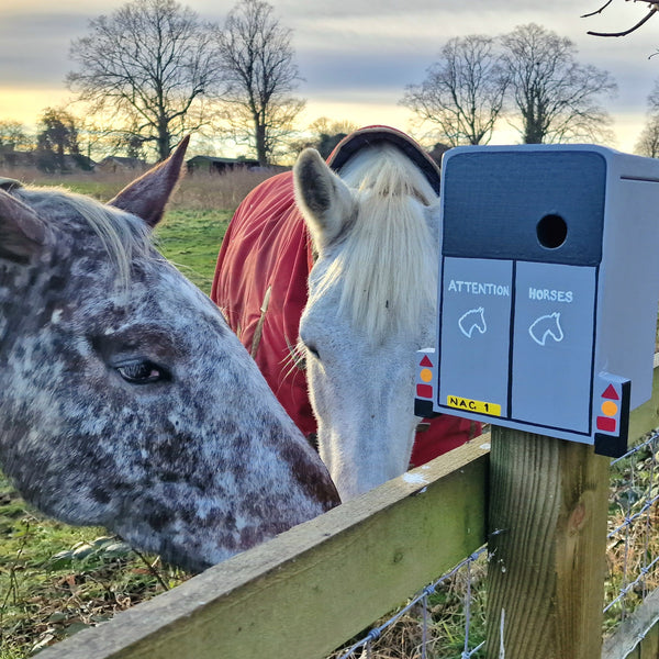 Personalised Horse Trailer Bird Box
