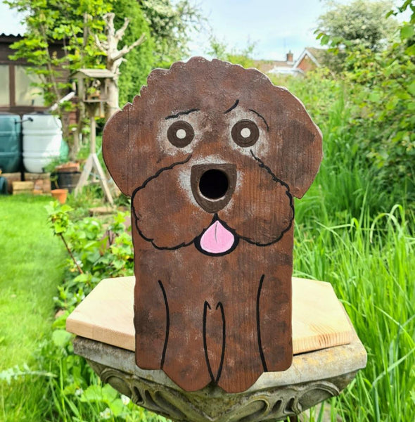 Handcrafted Sproodle Dog Bird Box