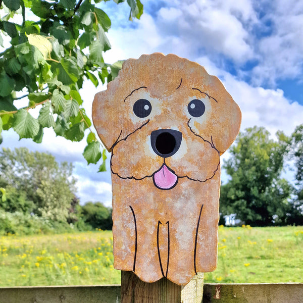 Handcrafted Sproodle Dog Bird Box