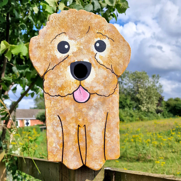Handcrafted Sproodle Dog Bird Box