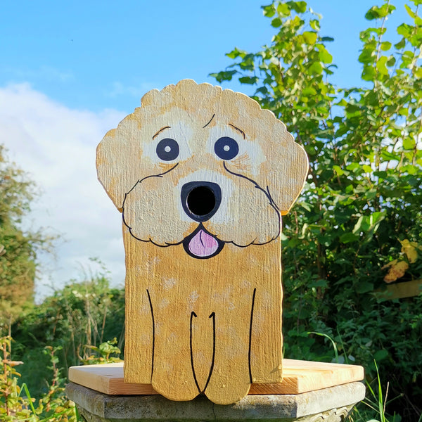 Handcrafted Sproodle Dog Bird Box