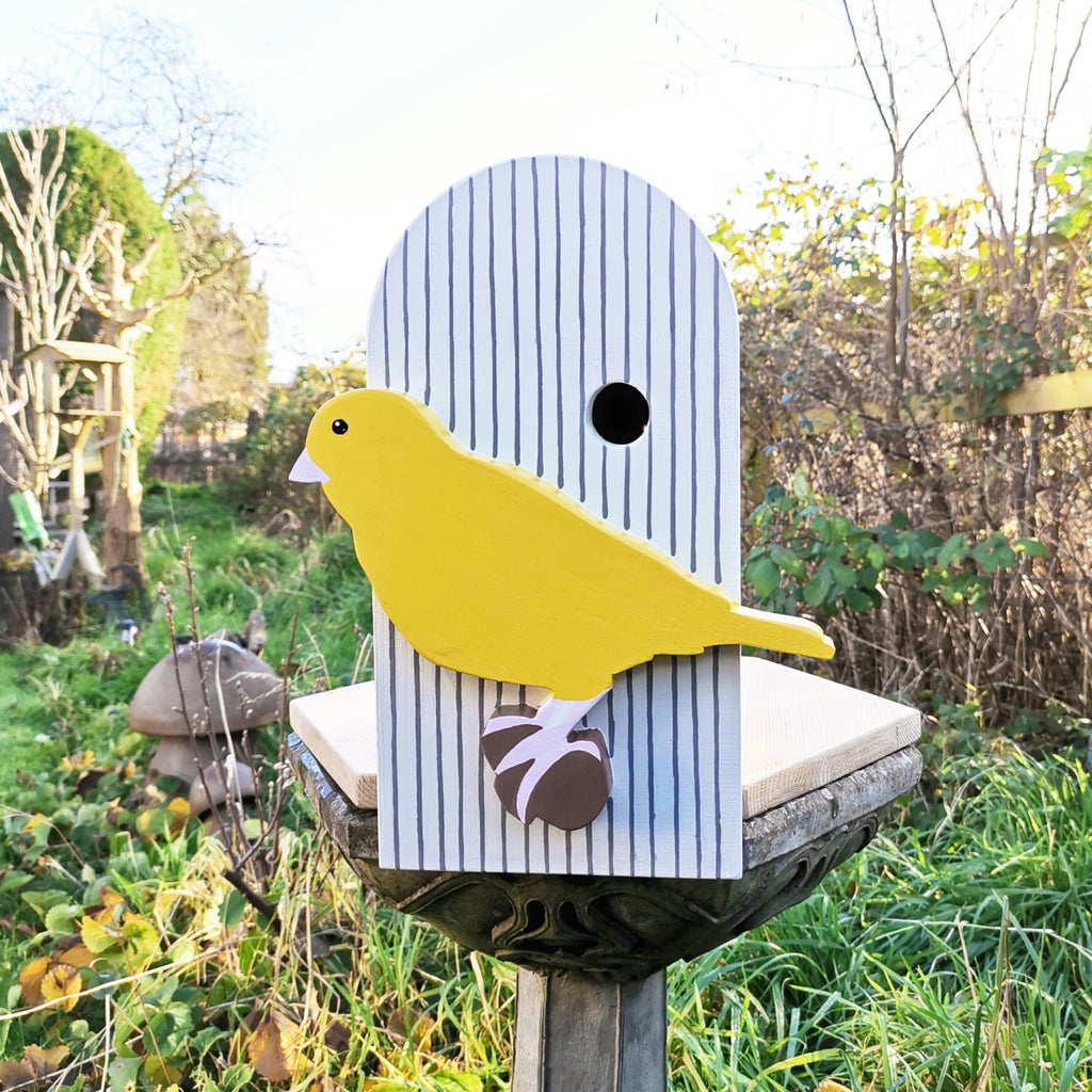 Capi Bird Box Handcrafted Canary in Cage Bird Box - Birthday Gift for Bird Lover ...