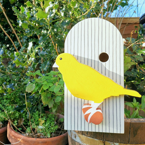 Handcrafted Canary and Cage Bird Box - Lindleywood